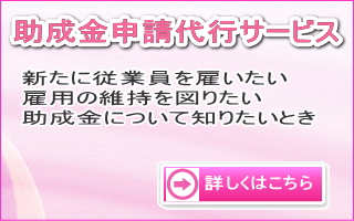 �������\����s�@�V���ɏ]�ƈ����ق��@�ٗp�̈ێ���}�肽��